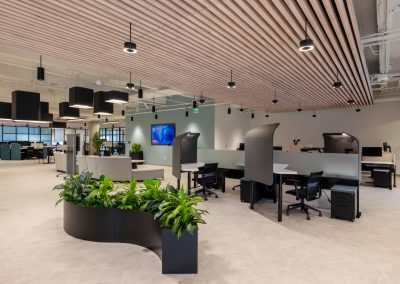 Workstations with tall gray privacy screens beneath a wood slat ceiling at Vusion’s Dallas office, beside a curved planter